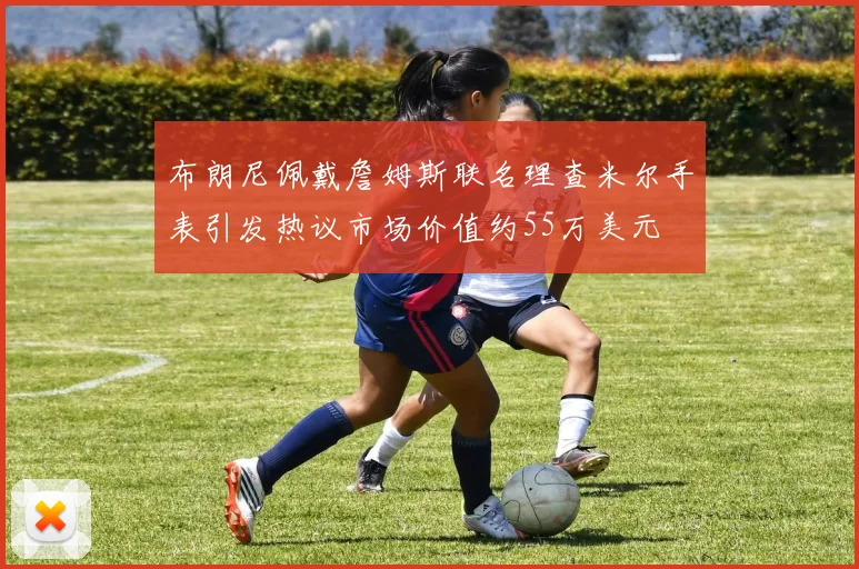 布朗尼佩戴詹姆斯联名理查米尔手表引发热议市场价值约55万美元