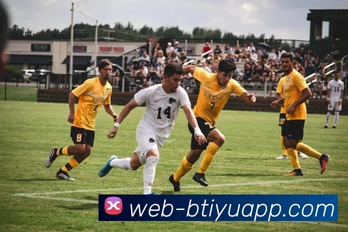 数据防护可视化